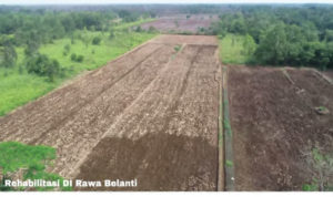 Pemerintah Targetkan Optimalisasi Produksi 165.000 Hektare Lahan Pangan di Kalteng