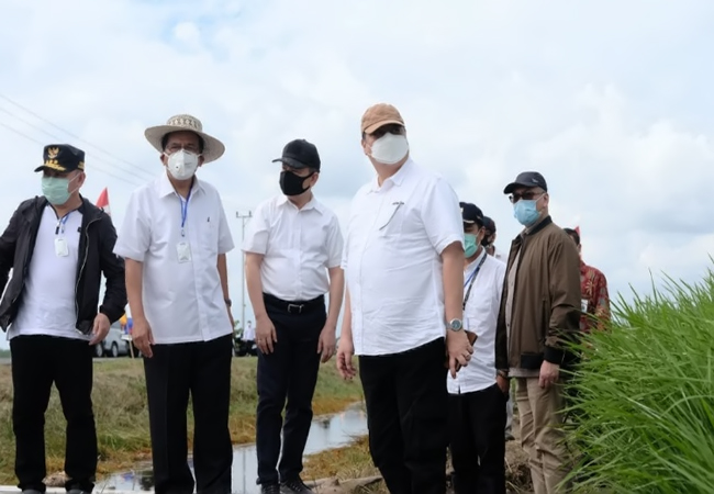 Pemerintah Siapkan Lumbung Padi Nasional di Kalimantan