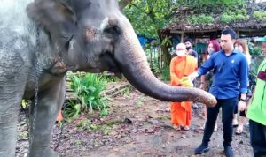M Afri Rizki Lubis Kunjungi Medan Zoo, Potensi Tambah PAD Lewat Promosi