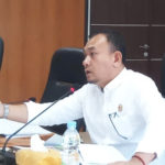 Pemko Medan Butuh 3.500 Ha Lagi Penuhi RTH