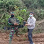 Peduli Penghijauan, Satgas TMMD Kodim Tapsel Tanam Bibit Pohon Desa Siuhom