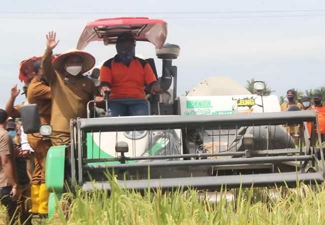 Bupati Sergai Sebut Pertanian Diharapkan Tingkatkan Kesejahteraan Petani