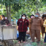 Bupati Karo Cory Sebayang Akan Berdayakan Peternak Lebah Desa Selandi