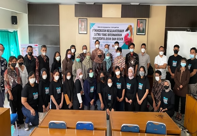 Diskusi Kelompok Terpumpun, AFJ Dorong Indonesia Bebas Kandang Baterai 2030