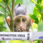 Kemenkes Sebut Kasus Monkeypox Pertama di Indonesia