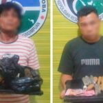 Dua Pengedar Ganja Dibekuk, Polisi Temukan Beberapa Barang Bukti