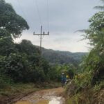 Kabel Listrik PLN Menjuntai ke Tanah, Wayu: Sudah Diperbaiki