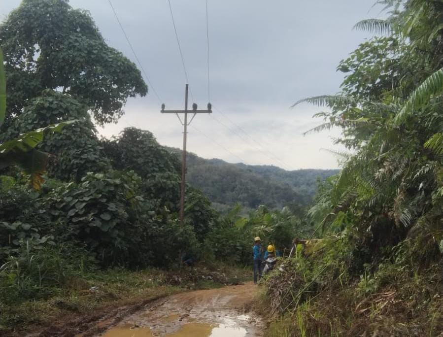 Kabel Listrik PLN Menjuntai ke Tanah, Wayu: Sudah Diperbaiki