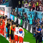 Asia Dominasi Piala Dunia 2022, 5 Tim Kuda Hitam Buat Kejutan Lolos 16 Besar