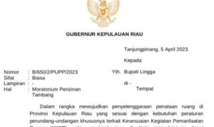 Gubernur Kepri Dinilai "Anak Kandungkan” Perusahaan Tambang Tri Tunas Unggul