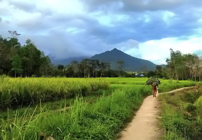 Desa Wisata Bakal Dirancang Topang Pembangunan di IKN